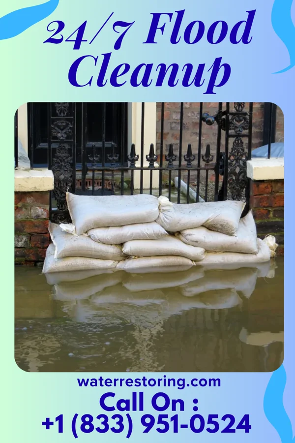 24/7 Flood Cleanup in Goliad, TX