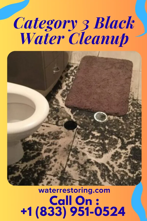 Category 3 Black Water Cleanup in Goliad, TX