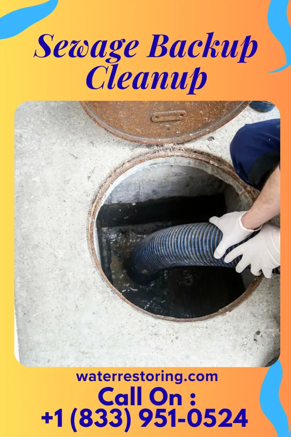 Sewage Backup Cleanup in Goliad, TX